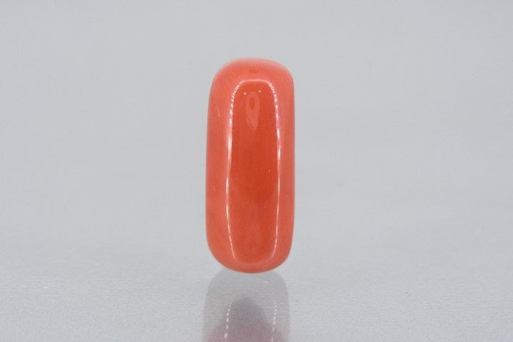11.22/Carat Natural Cylindrical Red Coral (1800)