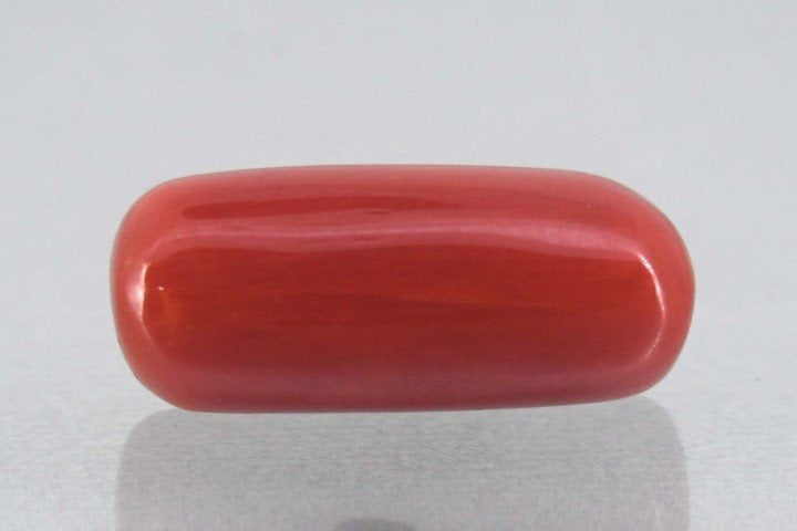 7.91/Carat Natural Cylindrical Red Coral-1800
