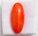 Load image into Gallery viewer, 8.82/Carat Natural Japanese Red Coral-7100
