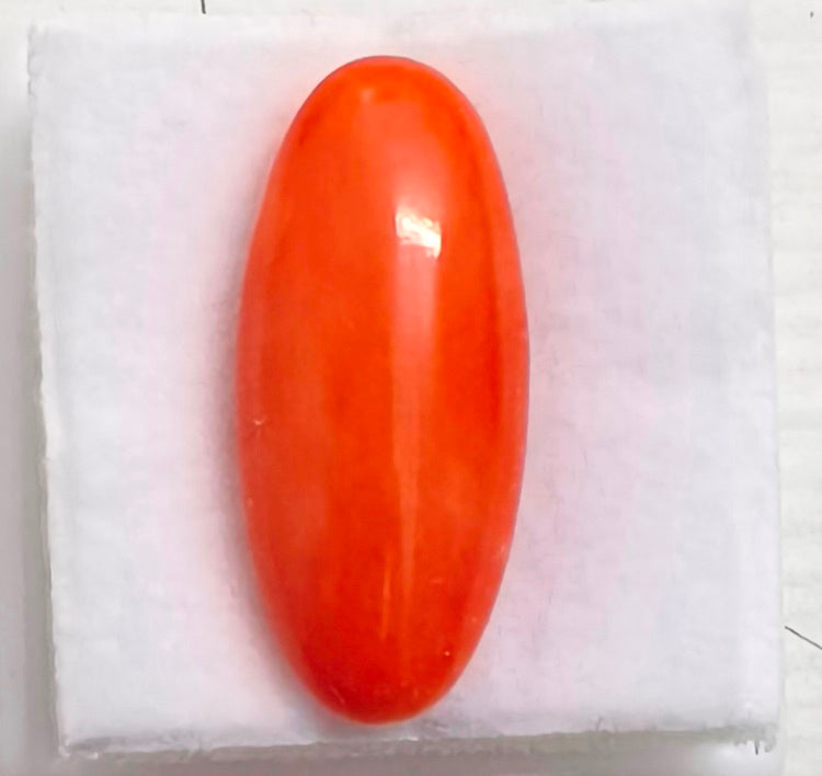8.82/Carat Natural Japanese Red Coral-7100