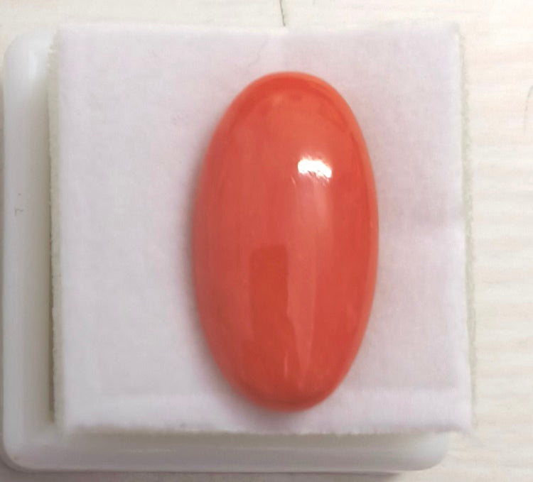9.10/Carat Natural Japanese Red Coral-7100