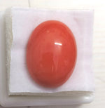 Load image into Gallery viewer, 15.55/Carat Natural Japanese Red Coral-7100
