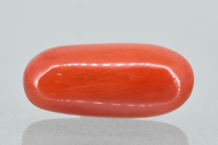 8.96/Carat Natural Red Coral (2100)