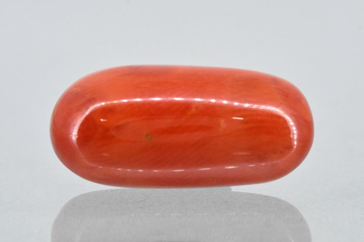9.05/Carat Natural Red Coral (2100)
