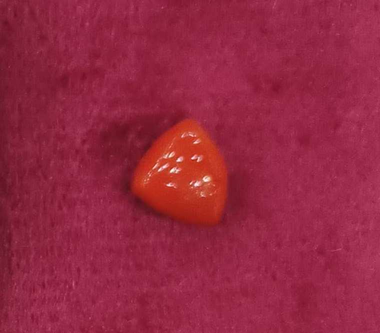 3.60/CT Natural Triangular Red Coral-1054
