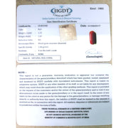 Natural Italian Moonga