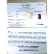 Natural Italian Moonga