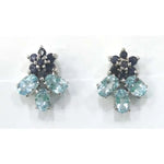 Load image into Gallery viewer, Silver Earring Aquamarine Garnet-E214-4150