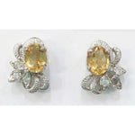 Load image into Gallery viewer, SILVER TOPS - E104