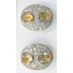 Load image into Gallery viewer, SILVER TOPS - E195