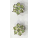 Load image into Gallery viewer, SILVER TOPS - E205