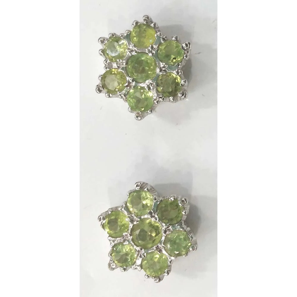 SILVER TOPS - E205