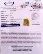Load image into Gallery viewer, 6.66 Ratti Fresh Water Pearl (277)
