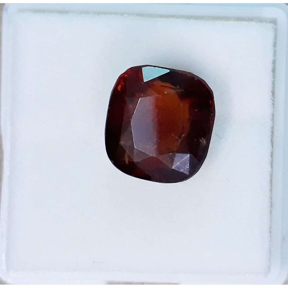 Ceylonese Gomed-(1100)