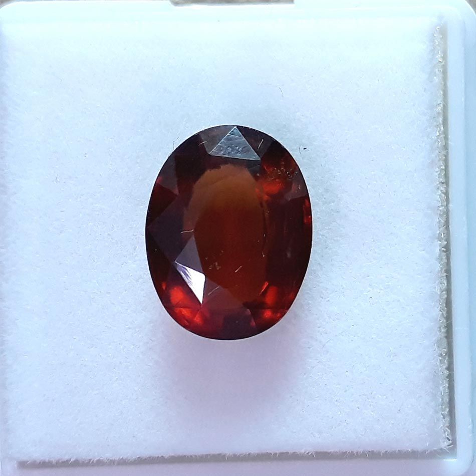 Ceylonese Gomed-(1100)