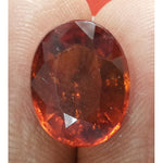 Load image into Gallery viewer, 4.70/CT Natural Govt. Lab Certified Ceylonese Gomed-(1221)
