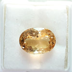Load image into Gallery viewer, Goldan Topaz-450
