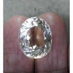 Load image into Gallery viewer, Goldan Topaz-450
