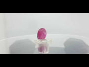 6.92 Ratti Natural New Burma Ruby with Govt. Lab Certificate
