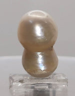 Load image into Gallery viewer, KESHI PEARL-230168-1650-17.65
