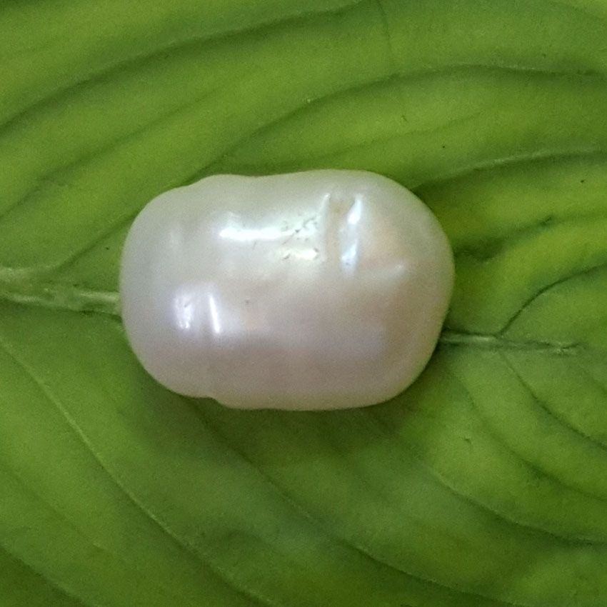 Keshi Pearl