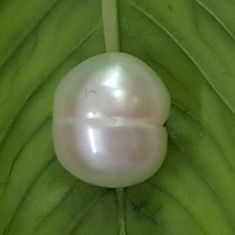 Keshi Pearl