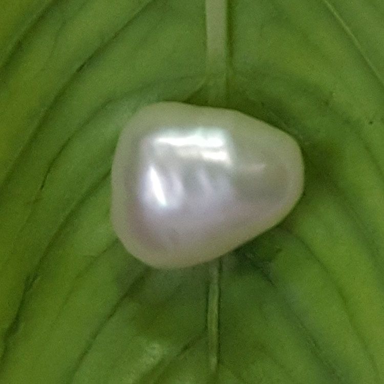 Keshi Pearl
