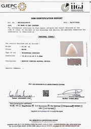 11.46 Ratti White Coral-(1500)