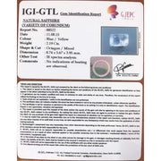 Neelam : Stone-(8100)