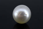 Load image into Gallery viewer, 7.44/CT Natural South Sea Pearl with Govt. Lab Certificate-1550
