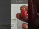 Load and play video in Gallery viewer, 11.90/Carat Natural Cylindrical Red Coral (2100)
