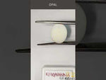 Load and play video in Gallery viewer, 4.86/CT Natural Fire Opal with Govt. Lab Certificate-4551

