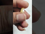 Load and play video in Gallery viewer, 6.73/CT Natural Yellow Sapphire With Govt Lab Certificate (6771)