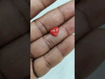 Load and play video in Gallery viewer, 1.90/CT Natural Red Coral With Govt. Lab Certificate-10815D43650