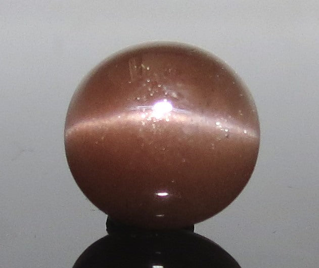 4.88 Ratti Natural Scapolite Cat's Eye with Govt. Lab Certified-(1221)