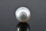 Load image into Gallery viewer, 6.81/CT South Sea Pearl with Govt. Lab Certificate-1550
