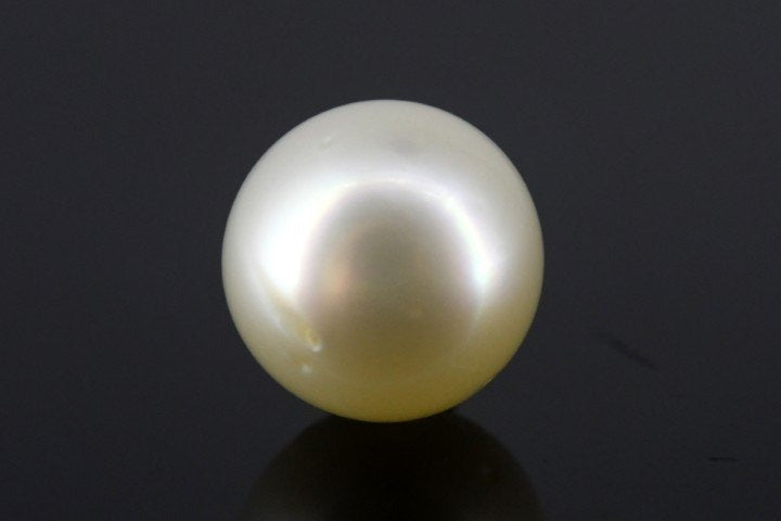 7.86/CT South Sea Pearl with Govt. Lab Certificate-1550