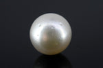Load image into Gallery viewer, 15.06/CT South Sea Pearl with Govt. Lab Certificate-1550
