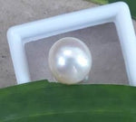 Load image into Gallery viewer, 8.45 Carat Natural South Sea Pearl With Lab Certificate-1332
