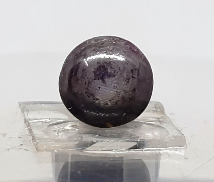 4.80 Ratti Star Sapphire with Govt. Lab Certificate-(5661)