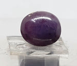 Load image into Gallery viewer, 6.53 Ratti Star Sapphire with Govt. Lab Certificate-(5661)
