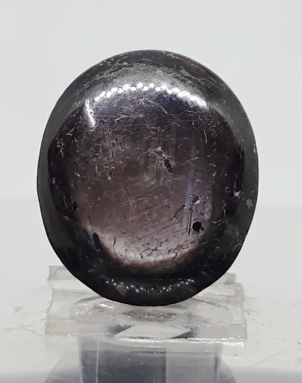 21.80 Ratti Star Sapphire with Govt. Lab Certificate-(5661)