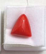 Load image into Gallery viewer, 9.18/CT Natural Triangular Red Coral-2500
