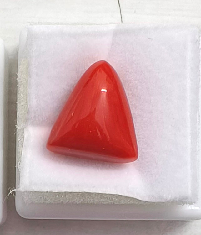 9.18/CT Natural Triangular Red Coral-2500